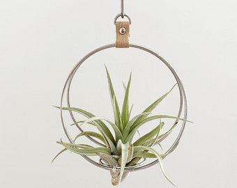 Mini Air Plant Hanger, Minimalist Air Plant Hanger, Air Plant Holder, Hanging Planter, Gift for plant lover