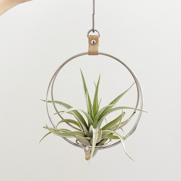 Mini Air Plant Hanger, Minimalist Air Plant Hanger, Air Plant Holder, Hanging Planter, Gift for plant lover