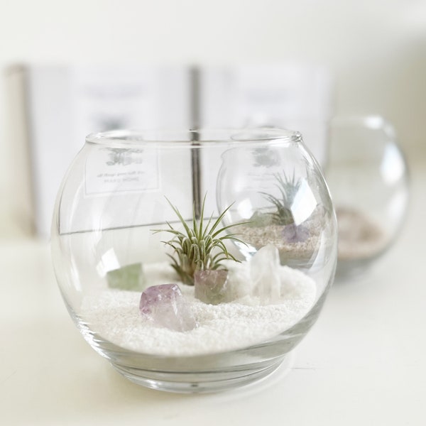 Magic Desert Terrarium Kit, Terrarium Kit Gift Box, Gift for plant lover