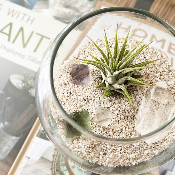 Desert Terrarium Etsy