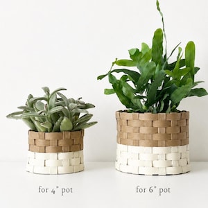 May include: Two woven plant baskets with a two-tone design featuring a natural tan upper section and a white lower section. The smaller basket is labeled for 4" pot and contains a succulent, while the larger is labeled for 6" pot and holds a fern.