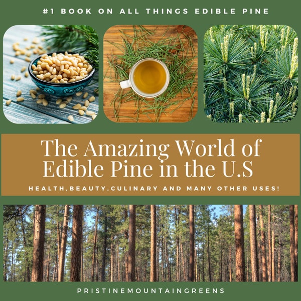 EBook on Edible Pine, WhitePine, Pine Needle Tea, Eastern White Pine, White Pine Tea, Pine Needles for Tea, Pine Tea, Wild Foraged, Pine