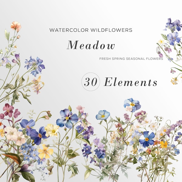 Wild Flower Watercolor Clipart, Botanical Wildflowers Clipart, Flower Arrangements, Watercolor Rustic Clipart, Elegant Blooms, Spring Meadow