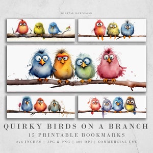 Signets imprimables Funny Birds | Feuilles de signets JPG à téléchargement numérique | Marque-page en sublimation PNG | Oiseaux originaux sur une branche | Cadeau d'artisan