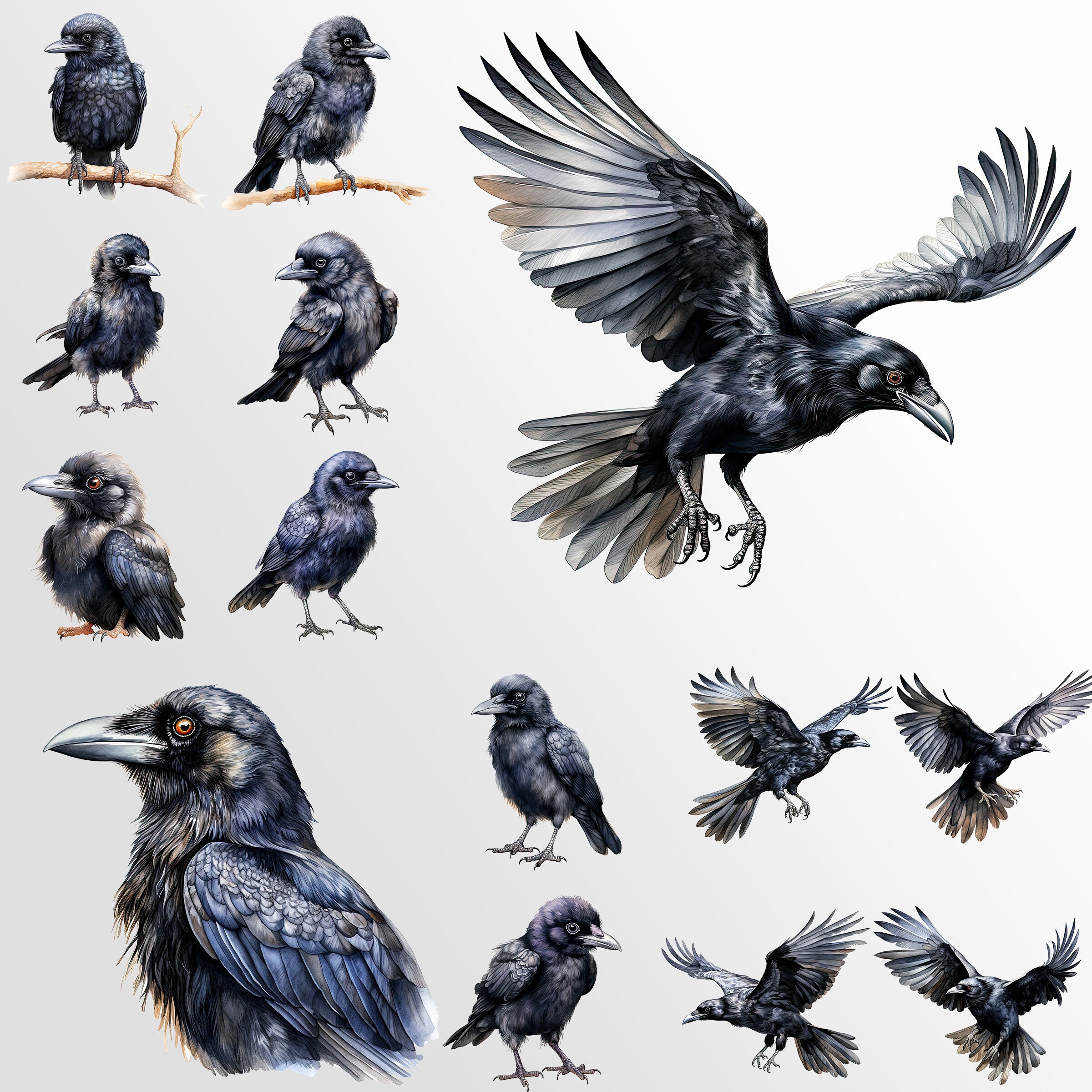 30 Crows Clipart Bundle: Halloween Art for Crafts and Decor | PNG ...