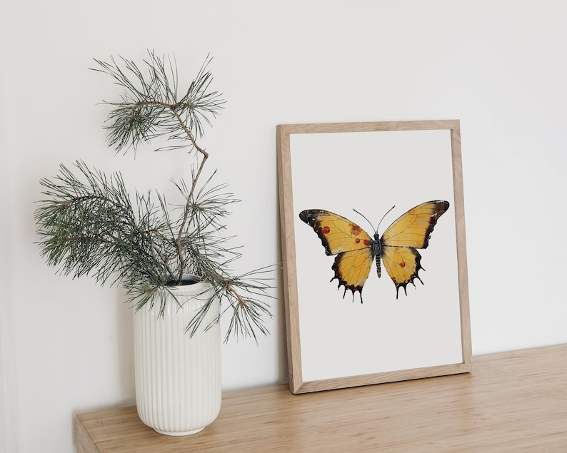 Puede incluir: Una impresi&oacute;n enmarcada de una mariposa amarilla con manchas marrones en sus alas. La mariposa est&aacute; centrada en el marco y tiene un fondo blanco.