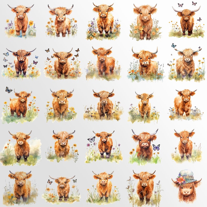 Highland Cow Watercolor Clipart, Cow PNG Bundle, Baby Shower Art, Baby ...