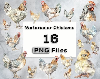 Watercolor Chickens Clipart PNG Bundle, Cute Chickens and Chicks, farm animal PNG instant download for commercial use, T-shirt sublimation