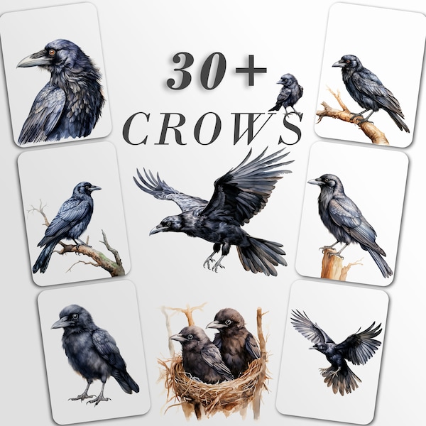 30 Crows Clipart Bundle: Halloween Art for Crafts and Decor | PNG Bundle | Digital Download | Sublimation Designs| Ephemera for Junk Journal