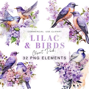 Imágenes prediseñadas de pájaros y flores lilas/ Arte infantil/ Descarga digital instantánea / Creación de tarjetas/ Diseño de invitación/ Gráficos de sublimación/ Paquete PNG