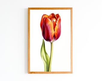 Watercolor Tulip Flower Print | Tulip Flower Print| Tulip Flower Art Print | Tulip Wall Decor| Wall Flowers Print | Instant Download | Print