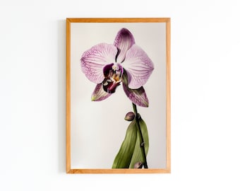 Watercolor Orchid Flower Print | Pink Orchid Flower Art Print | Orchid Wall Decor| Wall Flowers Print | Instant Download | Printable Art |
