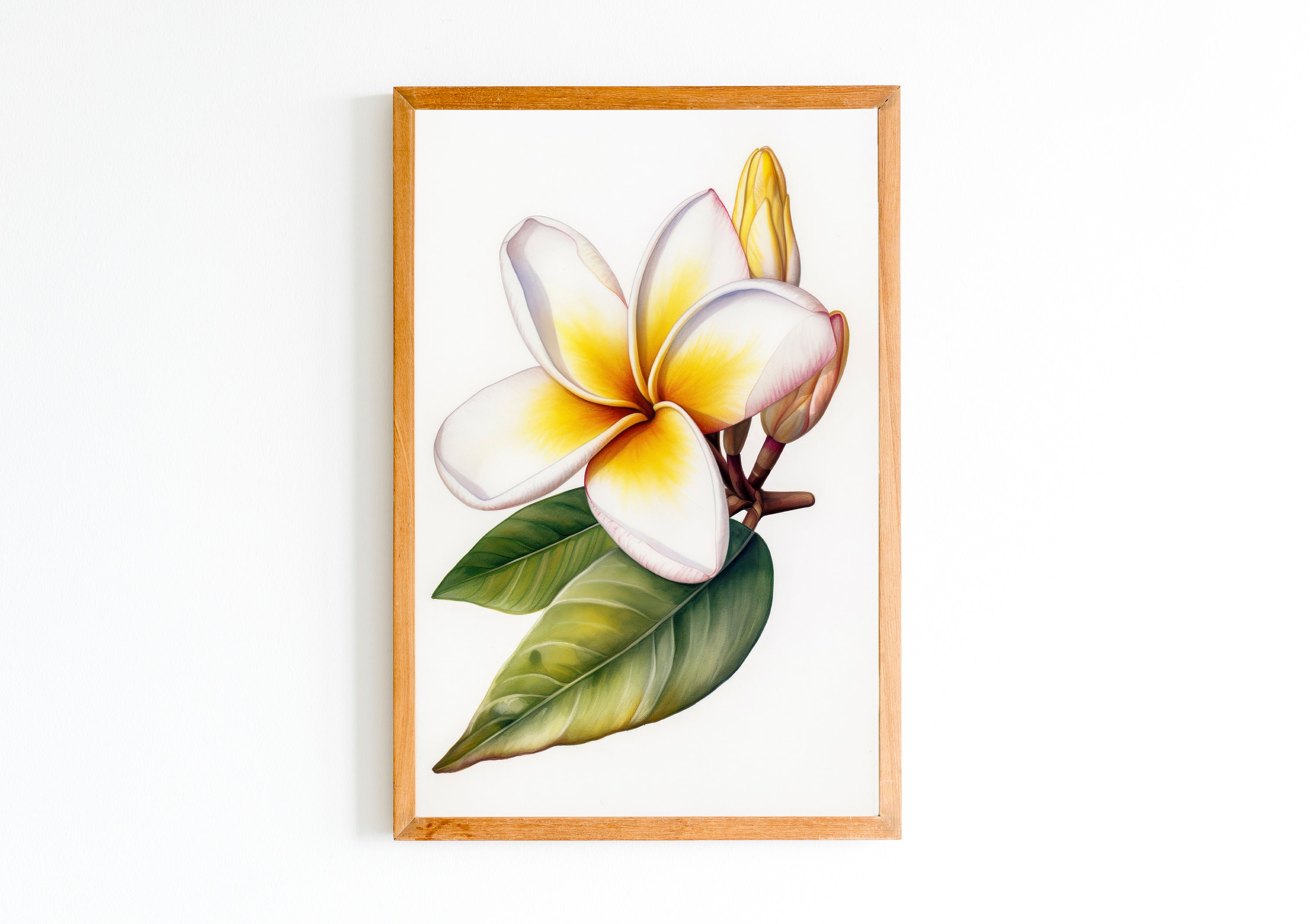 Plumeria paintings - Etsy 日本