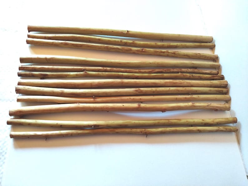 May include: A collection of thin, natural-colored wooden dowels arranged on a white surface. The dowels vary slightly in thickness and have a smooth, cylindrical shape, ideal for craft projects or decorative purposes.