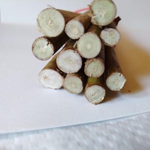 May include: A bundle of cut, brown wooden sticks with light green and white circular patterns on the cut ends. The sticks are tied together with a thin red string, resting on a white surface.