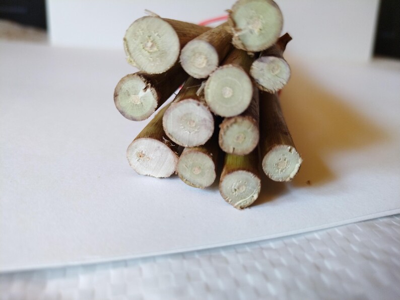 May include: A bundle of cut, brown wooden sticks with light green and white circular patterns on the cut ends. The sticks are tied together with a thin red string, resting on a white surface.