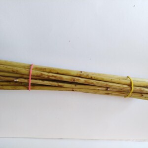 May include: A bundle of thin, light brown wooden dowels, secured with a pink rubber band in the middle and a yellow rubber band at the end. The dowels have a natural, textured appearance, suggesting they are untreated.