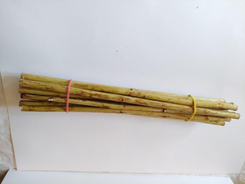 May include: A bundle of thin, light brown wooden dowels, secured with a pink rubber band in the middle and a yellow rubber band at the end. The dowels have a natural, textured appearance, suggesting they are untreated.