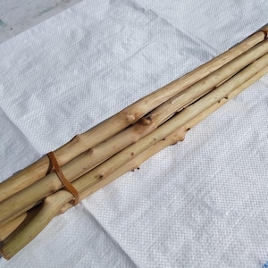 Hazelnut wood sticks,60cm,peeled,1-2,2cm diameter,6 pieces.