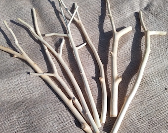 7pcs 40cm long forked mountain asch, rowan tree sticks