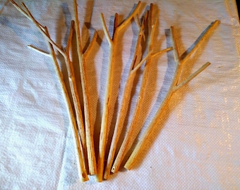 7 bâtons de saule fourchus, environ 40 cm de long, 9-11 mm de diamètre