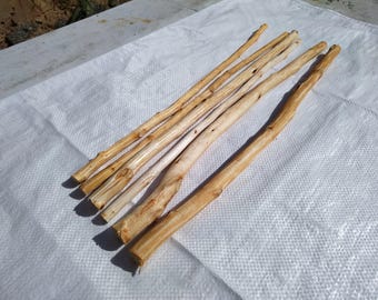 Peeled,dried 50cm birch tree wooden sticks,6 pieces.