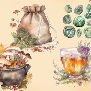 Pu&ograve; includere: Un'illustrazione ad acquerello di un calderone pieno di funghi, un sacco di iuta, una tazza di t&egrave; alle erbe e pietre verdi con rune intagliate su di esse. L'illustrazione ha un'atmosfera fantasiosa e magica.