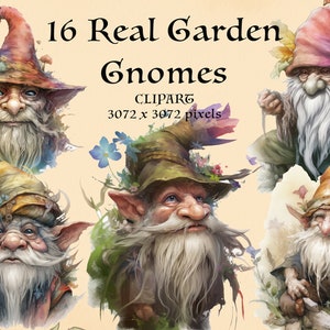 16 tuinkabouters PNG. Fantasie. Magische wezens. Fantastische wezens Bundel Clipart Instant download fantasy pagan.