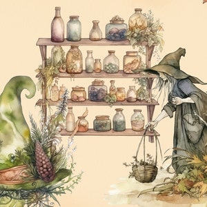 Pu&ograve; includere: Un'illustrazione ad acquerello di una strega con un cappello verde e un cesto di erbe. &Egrave; in piedi davanti a uno scaffale di legno con molti barattoli di pozioni e ingredienti. Lo sfondo &egrave; di colore beige chiaro.