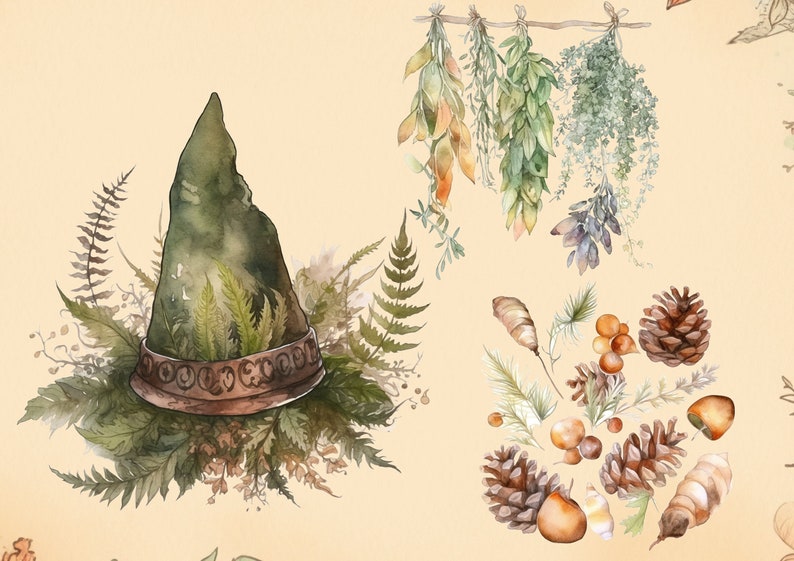 Pu&ograve; includere: Un'illustrazione ad acquerello di un cappello da strega verde con un bordo marrone, circondato da felci e altre piante verdi. L'illustrazione include anche una collezione di pigne, ghiande e altri elementi del bosco.