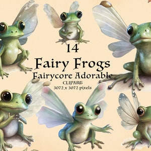 14 Feen Frösche PNG. Fairycore Fantasy. Koboldkernfee. Cottagecore. Märchenhaft. Sofortiger Download Clipart