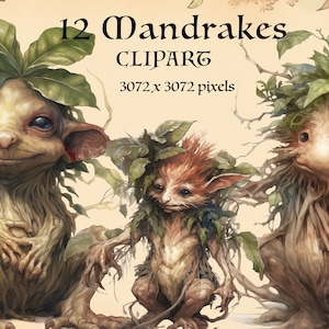 May include: Three whimsical mandrake creatures with leafy crowns and root-like bodies. The mandrakes have large eyes, small noses, and wide mouths. The image is a digital illustration.