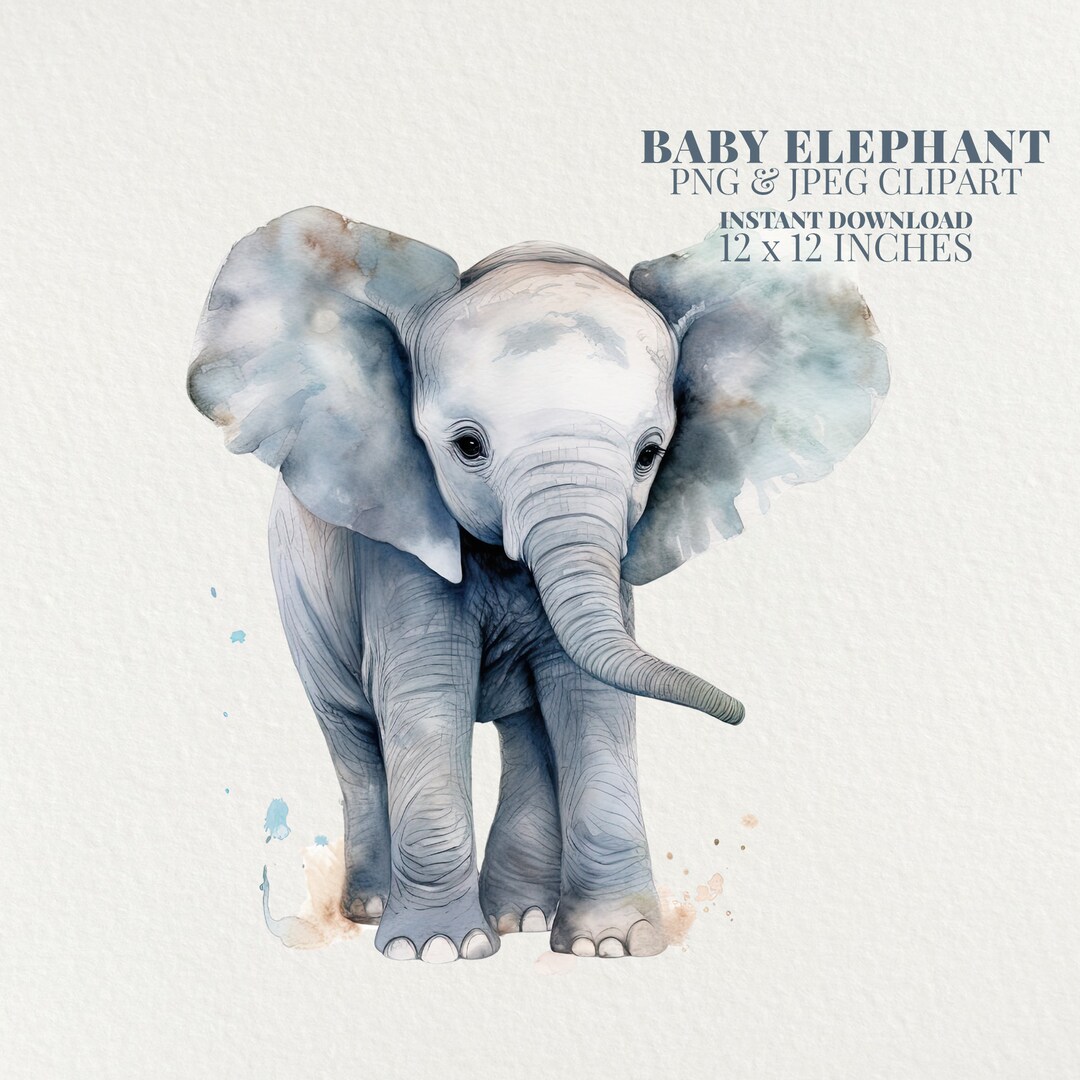 Baby Elephant Watercolor PNG Commercial Use Clip Art, Elephant Clipart ...