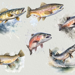 Freshwater Fish Watercolor PNG Commercial Use Clip Art Bundle, Set Of 10 High Quality Clipart PNGs, Fishing Clipart, Trout Clipart, Salmon image 2