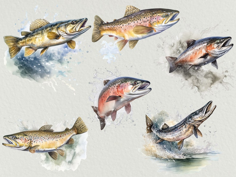 Freshwater Fish Watercolor PNG Commercial Use Clip Art Bundle, Set Of 10 High Quality Clipart PNGs, Fishing Clipart, Trout Clipart, Salmon image 2