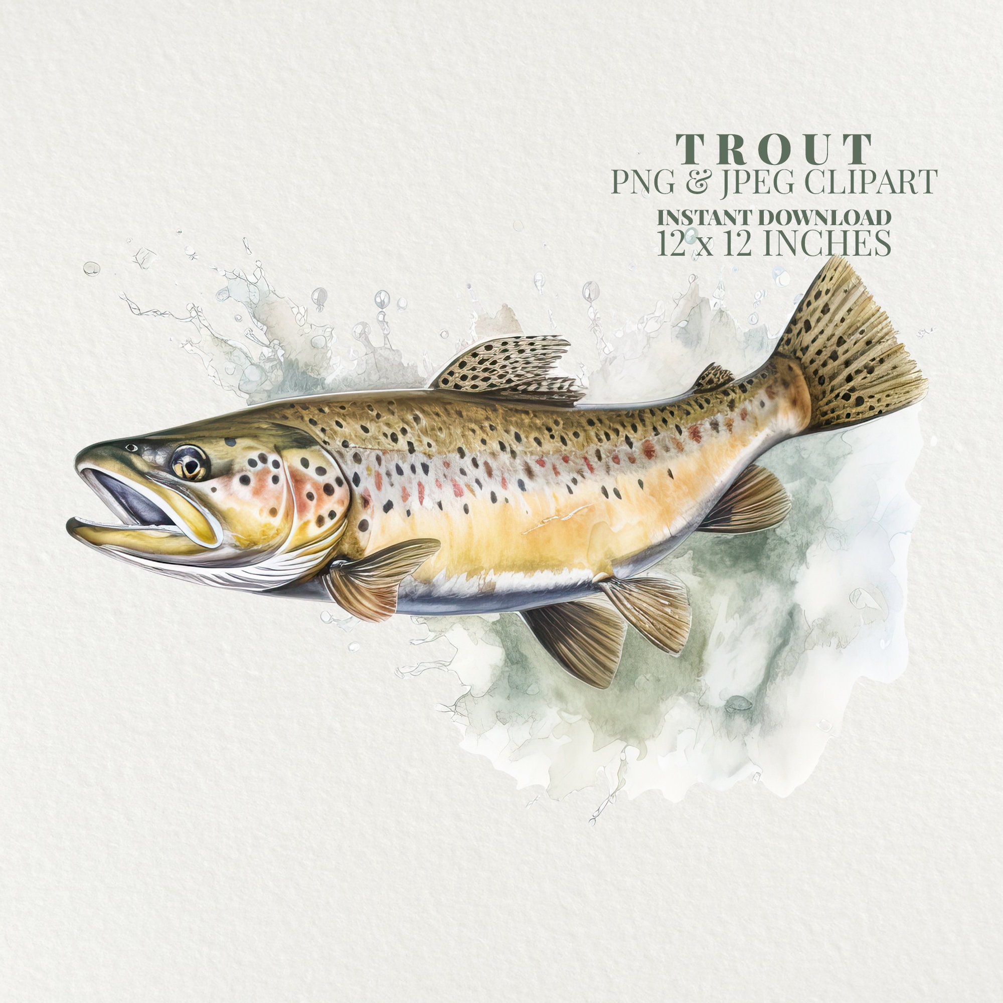 Trout Watercolor PNG Commercial Use Clip Art, Trout Art Clipart PNG