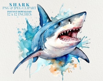 Shark Watercolor PNG Commercial Use Clip Art, Sea Art Clipart PNG, Digital Art Clipart, POD Allowed, Sublimation Diy Crafts, White Shark
