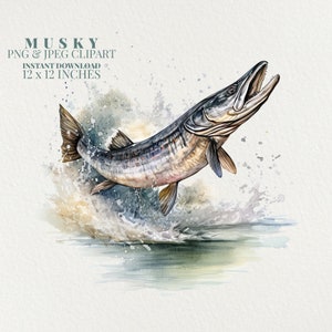 Musky Watercolor PNG Commercial Use Clip Art, Muskie Clipart PNG, Digital Art Clipart, POD Allowed, Sublimation Diy Crafts, Muskellunge image 1