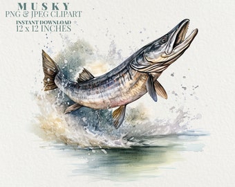 Musky Watercolor PNG Commercial Use Clip Art, Muskie Clipart PNG, Digital Art Clipart, POD Allowed, Sublimation Diy Crafts, Muskellunge