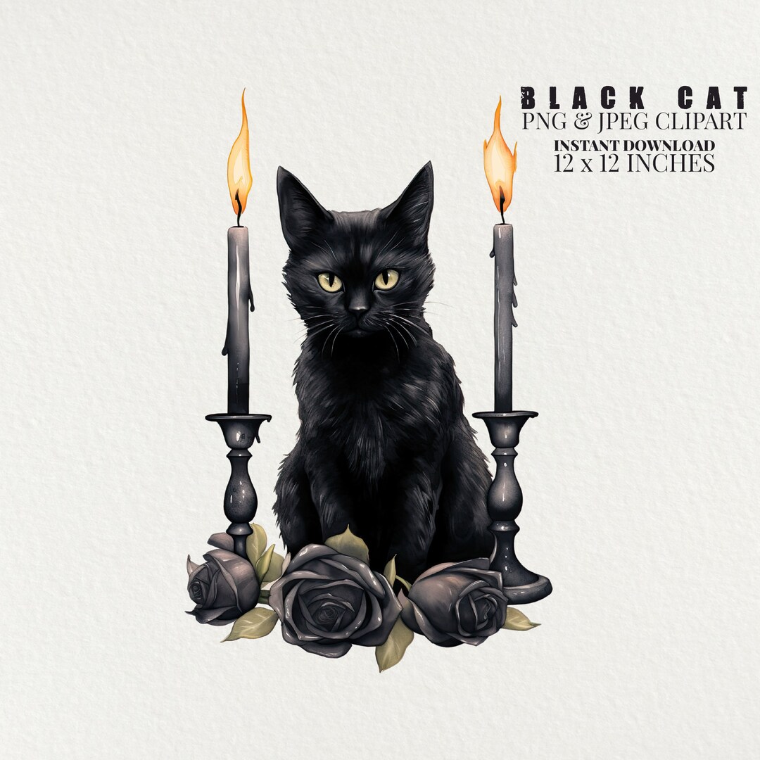 Black Cat Watercolor PNG Commercial Use Clip Art, Fall Clipart PNG, Ray ...