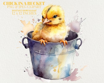 Cute Chick in a Bucket Watercolor PNG Commercial Use Clip Art, Baby Chicken Clipart PNG, Digital Art Clipart, POD Allowed, Sublimation Diy