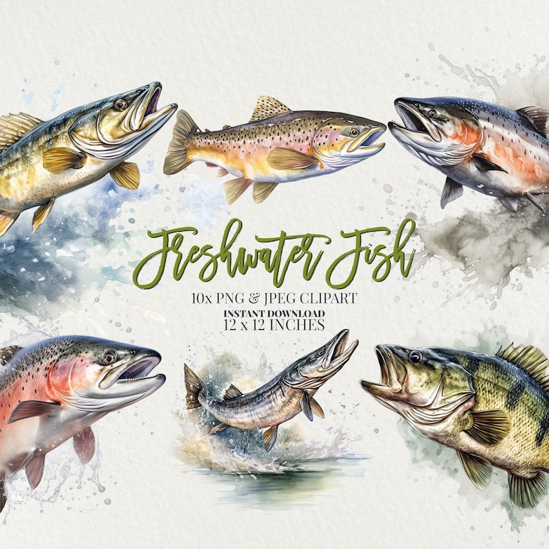 Freshwater Fish Watercolor PNG Commercial Use Clip Art Bundle, Set Of 10 High Quality Clipart PNGs, Fishing Clipart, Trout Clipart, Salmon image 1