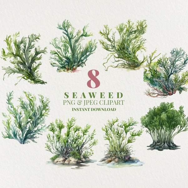 Seaweed Watercolor PNG Commercial Use Clip Art, 8 Ocean Clipart PNG, Watercolor Beach Clipart, Sublimation Diy Crafts, Seaweed Art