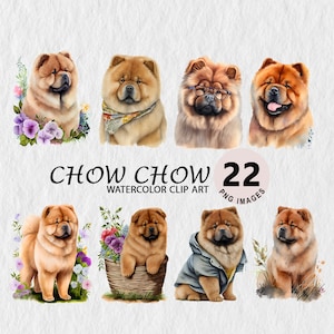Chow Chow Clipart Cute Dog Clipart PNG Dog Portrait Watercolor Puppy Clip Art Free Commercial License Illustration Transparent Dog Stickers