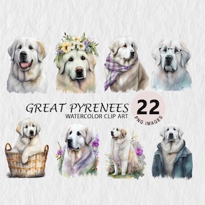 Grandes Pyrénées Clipart Illustration aquarelle PNG Transparent Bundle Scrapbooking Art mural T-shirt, casquette autocollants sans licence commerciale