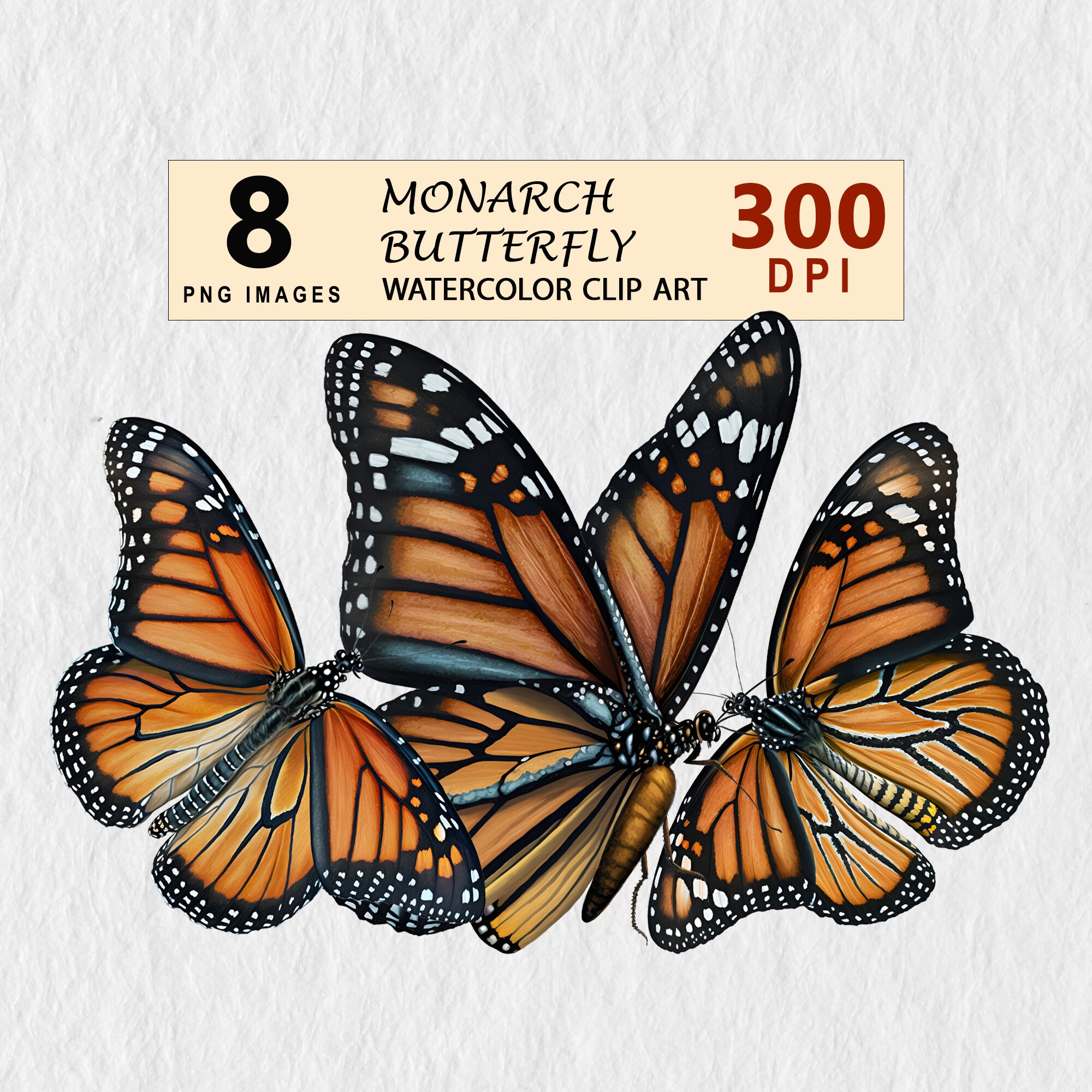 Monarch Butterfly Watercolor Clipart Illustration Transparent PNG Download Bundle Art Invitation TShirt Free Commercial License Stickers