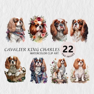 Cavalier King Charles Watercolor Illustration Transparent PNG Bundle Scrapbooking Wall Art T-shirt, Cap Free Commercial License Stickers