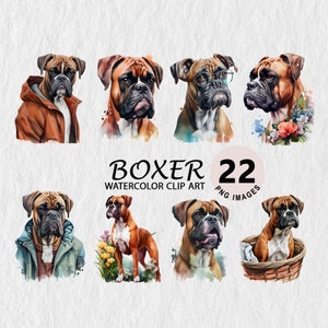 Boxer Dog Watercolor Downloadable Transparent PNG Illustration Clipart Digital Download Wall Art, Invitation, TShirt, Mugs, Stickers
