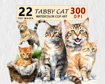 Tabby Cat Watercolor Clipart Clip art Clipart Element Illustration Transparent PNG Bundle Wall Art Mug Free Commercial License