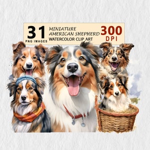 American Shepherd Watercolor Clipart Illustration Transparent PNG Download Bundle Invitation T-shirt Free Commercial License Stickers